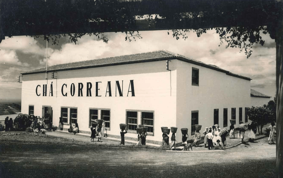Fonte: Fábrica de Chá Gorreana