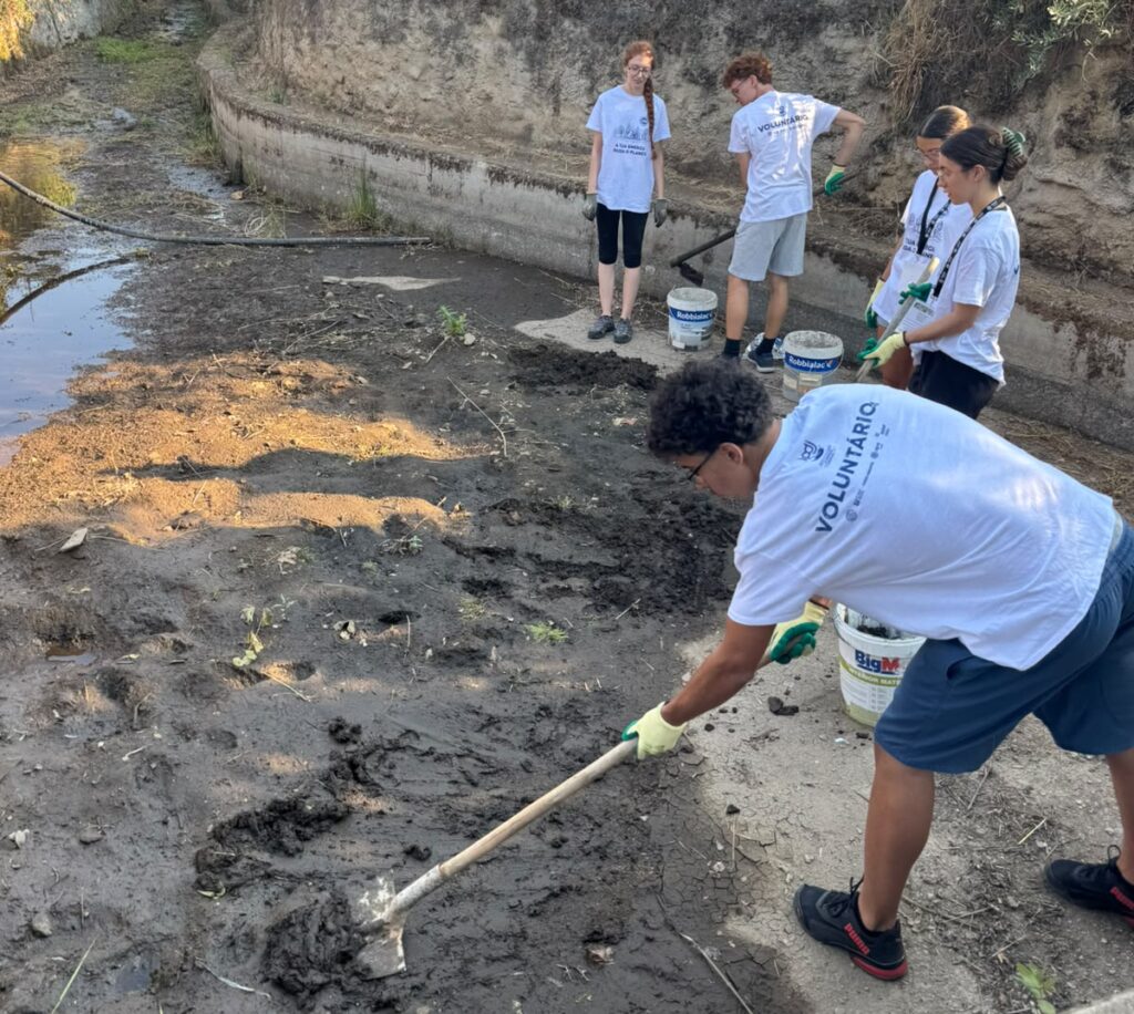 Jovens voluntários ajudam na recuperação de áreas ardidas